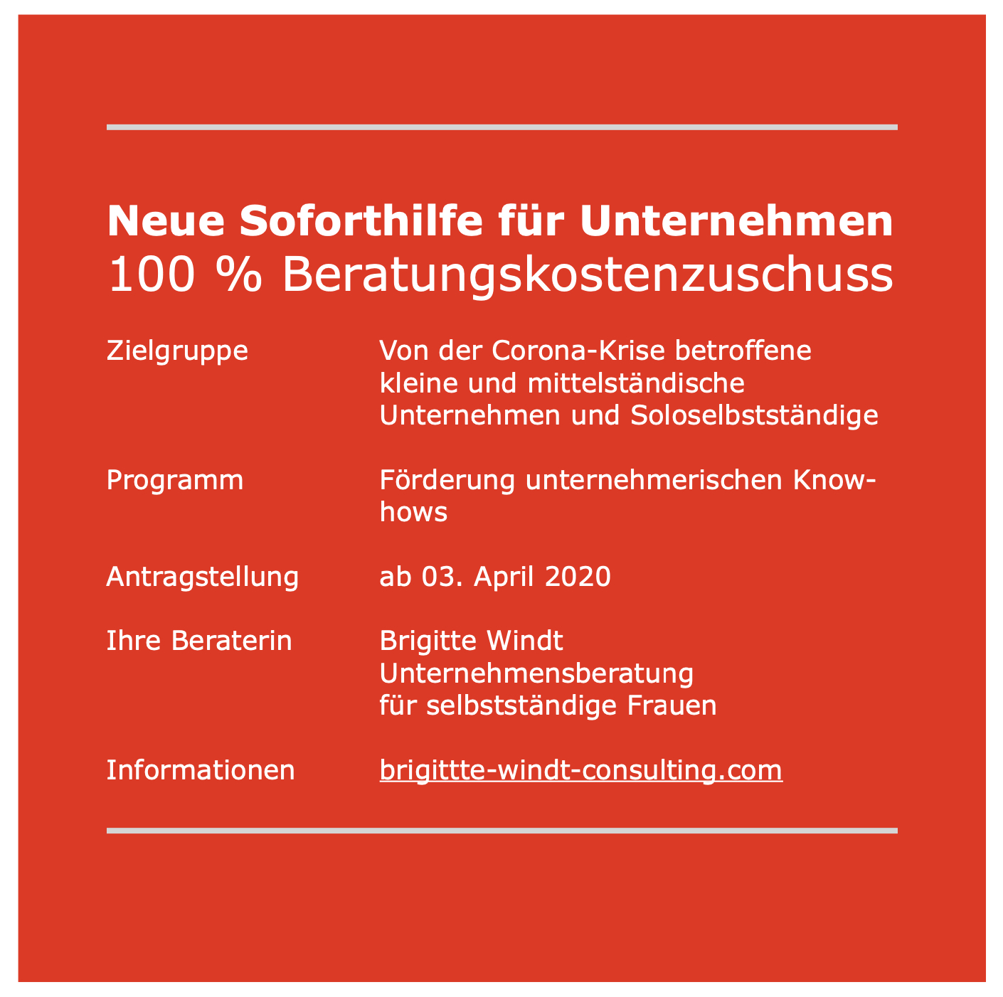 Neue Soforthilfe für Unternehmen - 100 % Beratungskostenzuschuss - brigitte windt consulting - Berlin - Unternehmensberatung für selbstständige Frauen